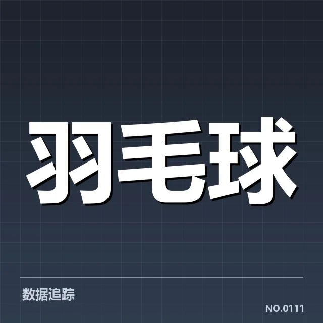 女双战术配合背后,专业配合策略如何成就双打冠军